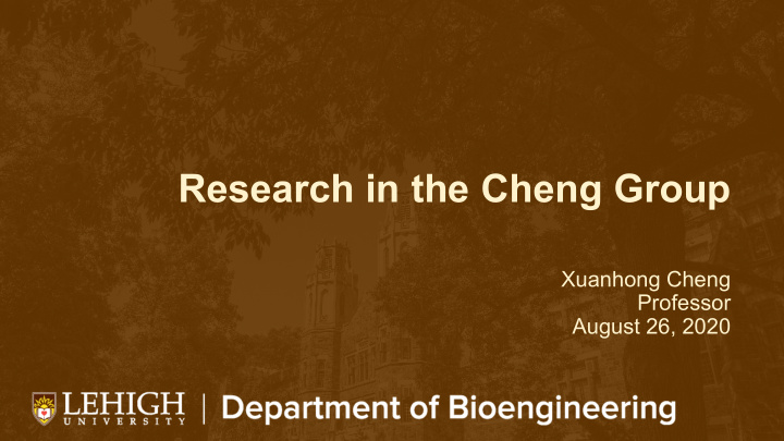 research in the cheng group