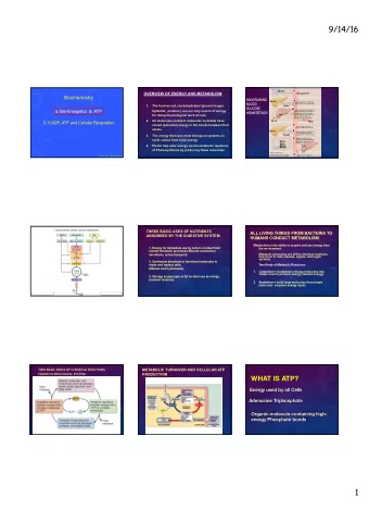 9/14/16  1  Intestine  OVERVIEW OF ENERGY AND METABOLISM  When a person eats,  blood glucose rises.