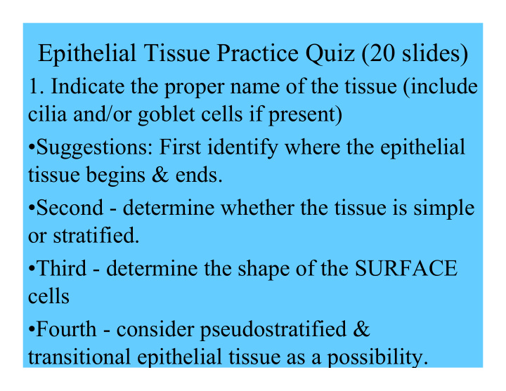 epithelial tissue practice quiz 20 slides