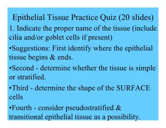 Epithelial Tissue Practice Quiz (20 slides)  1. Indicate the proper name of the tissue (include