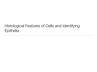 Histological Features of Cells and Identifying  Epithelia  What well talk about