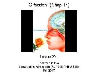 Olfaction  (Chap 14)  Lecture 20  Jonathan Pillow Sensation &amp; Perception (PSY 345 / NEU 325)