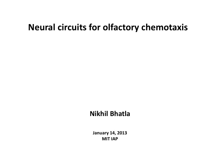 neural circuits for olfactory chemotaxis