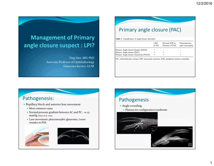 primary angle closure pac