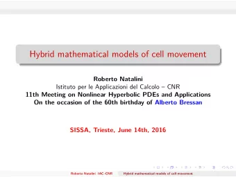 Hybrid mathematical models of cell movement  Roberto Natalini  Istituto per le Applicazioni del