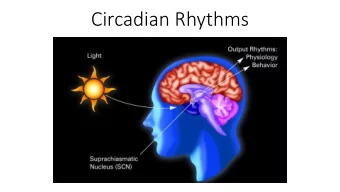 Circadian Rhythms  Controlling the timing of behaviour by anticipating  the environment