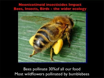 Bees pollinate 30%of all our food  Most wildflowers pollinated by bumblebees  Apples pollinated by
