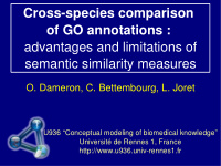 cross species comparison of go annotations advantages and