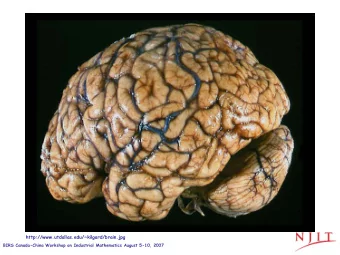 http://www.utdallas.edu/~kilgard/brain.jpg  BIRS Canada-China Workshop on Industrial Mathematics