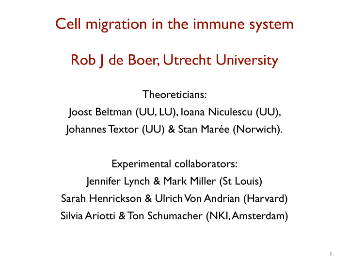 cell migration in the immune system