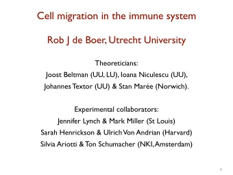 Cell migration in the immune system  Rob J de Boer, Utrecht University  Theoreticians:  Joost