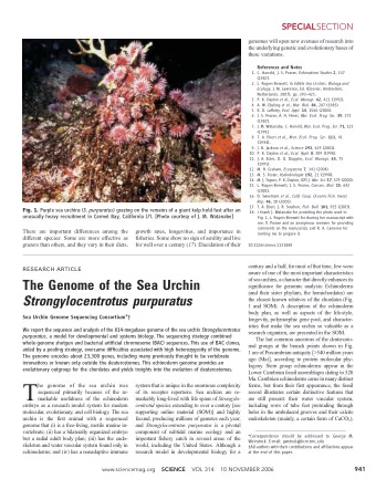 T  he genome of the sea urchin was  system that is unique in the enormous complexity  forms, but