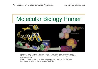 Molecular Biology Primer  Angela Brooks, Raymond Brown, Calvin Chen, Mike Daly, Hoa Dinh, Erinn