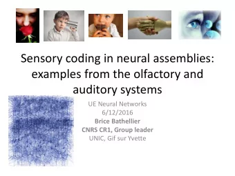 examples from the olfactory and  auditory systems  UE Neural Networks  6/12/2016  Brice Bathellier