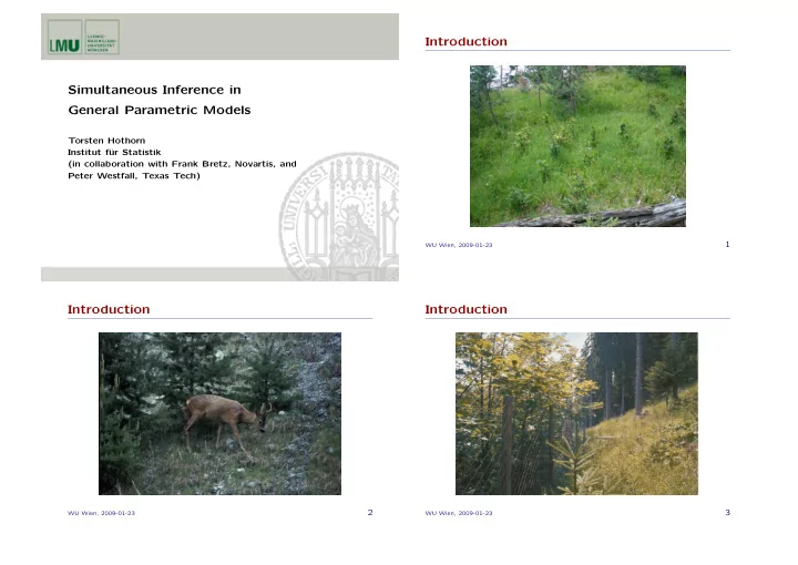 introduction simultaneous inference in general parametric