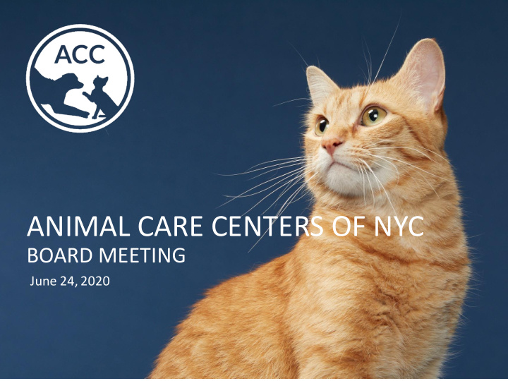 animal care centers of nyc