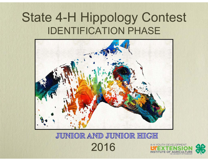 state 4 h hippology contest