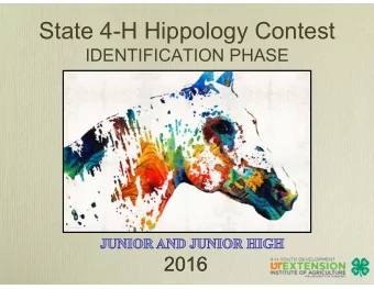 State 4-H Hippology Contest  IDENTIFICATION PHASE  2016  2016  The following questions are