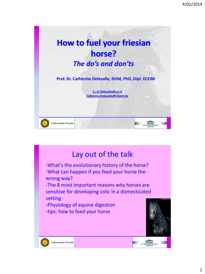 how to fuel your friesian horse