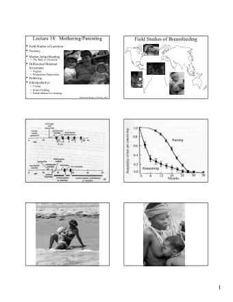 1  1  Lactationinthe!Kung  Lactationinthe!Kung  Lactationinthe!Kung