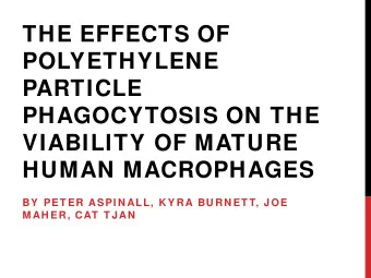 THE EFFECTS OF  POLYETHYLENE  PARTICLE  PHAGOCYTOSIS ON THE  VIABILITY OF MATURE  HUMAN MACROPHAGES