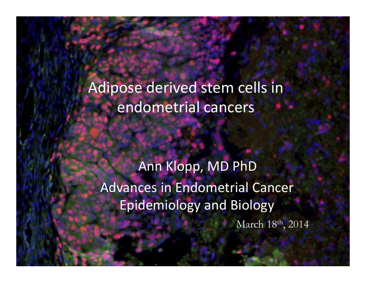 adipose derived stem cells in adipose derived stem cells