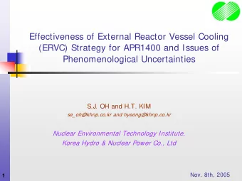 Effectiveness of External Reactor Vessel Cooling  (ERVC) Strategy for APR1400 and Issues of