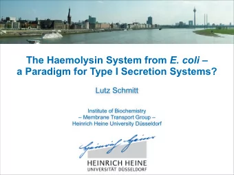 The Haemolysin System from E. coli   a Paradigm for Type I Secretion Systems?  Lutz Schmitt