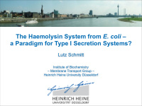 the haemolysin system from e coli a paradigm for type i