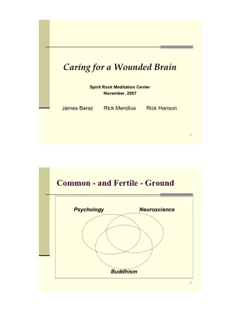 Caring for a Wounded Brain  Spirit Rock Meditation Center  November, 2007  James Baraz       Rick