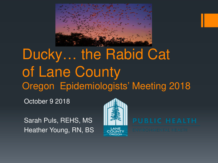 ducky the rabid cat of lane county