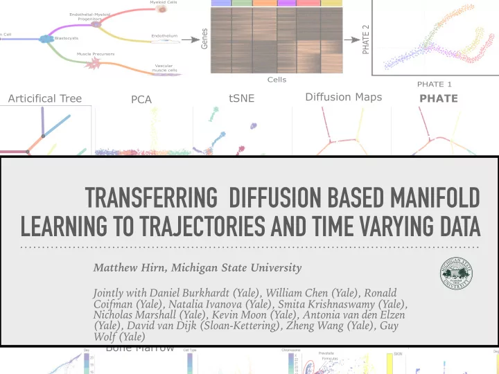 transferring diffusion based manifold