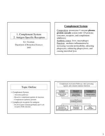Complement System Composition: proenzyme  enzyme plasma protein cascade system with &gt;25