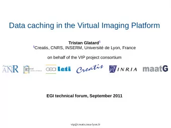 Data caching in the Virtual Imaging Platform Tristan Glatard 1 1 Creatis, CNRS, INSERM, Universit