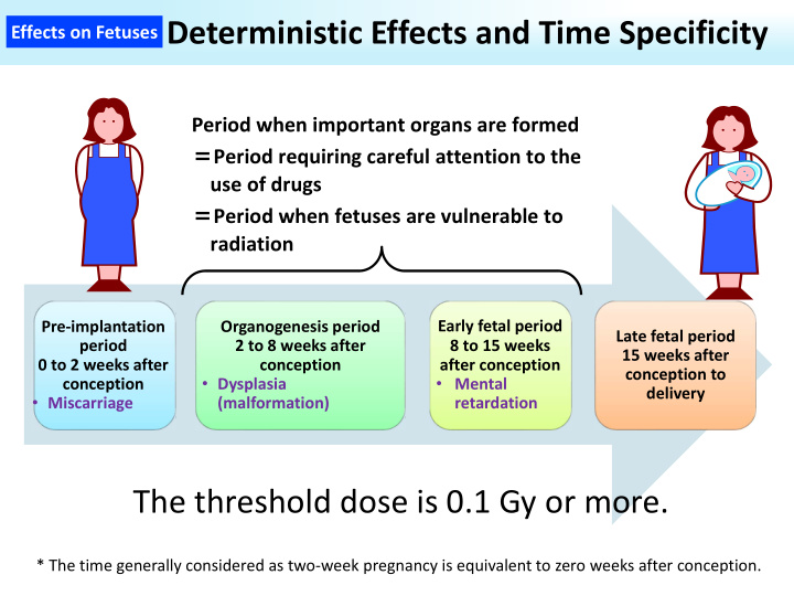 deterministic effects and time specificity