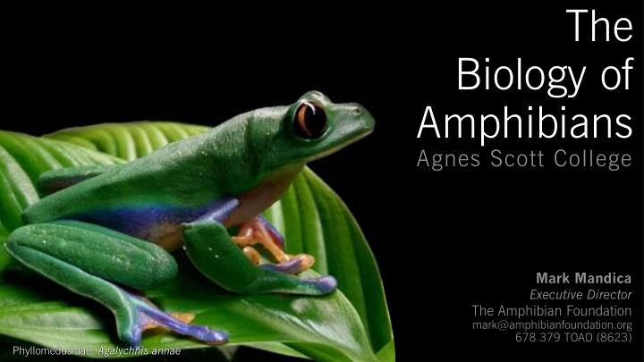 the biology of amphibians