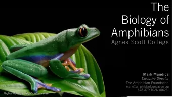 The  Biology of  Amphibians  Agnes Scott College  Mark Mandica  Executive Director  The Amphibian