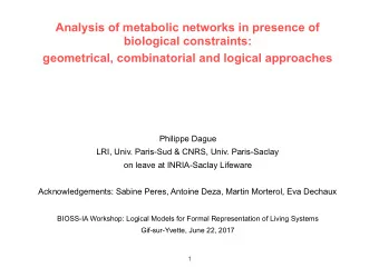 Analysis of metabolic networks in presence of  biological constraints:  geometrical, combinatorial