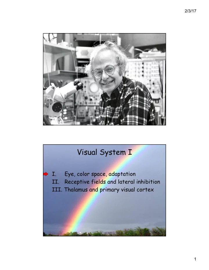 visual system i