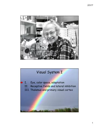 Visual System I  I.  Eye, color space, adaptation  II.  Receptive fields and lateral inhibition