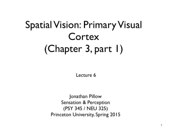 Spatial  Vision: Primary  Visual  Cortex  (Chapter 3, part 1)  Lecture 6  Jonathan Pillow
