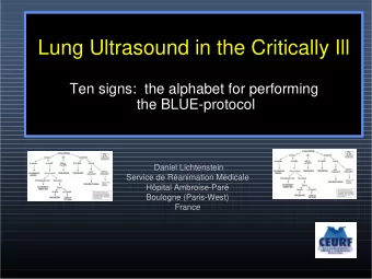 Lung Ultrasound in the Critically Ill  Ten signs:  the alphabet for performing  the BLUE-protocol