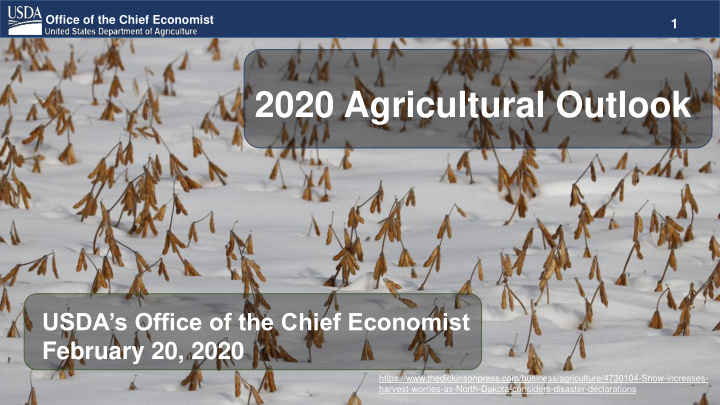 2020 agricultural outlook
