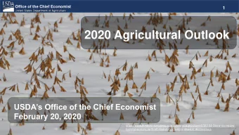 2020 Agricultural Outlook  USDAs Office of the Chief Economist  February 20, 2020