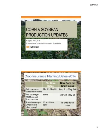 CORN &amp; SOYBEAN  PRODUCTION UPDATES  Angela McClure  Extension Corn and Soybean Specialist  Crop