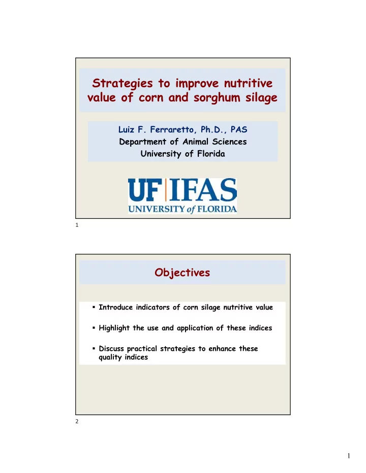 strategies to improve nutritive value of corn and sorghum
