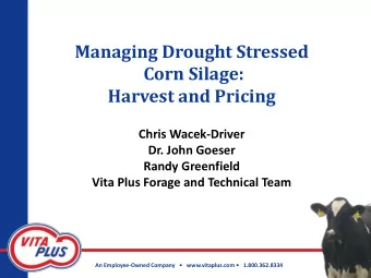 Corn Silage:  Harvest and Pricing  Chris Wacek-Driver  Dr. John Goeser  Randy Greenfield  Vita Plus