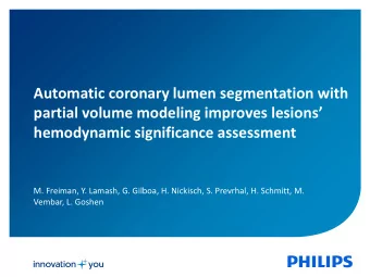 hemodynamic significance assessment  M. Freiman, Y. Lamash, G. Gilboa, H. Nickisch, S. Prevrhal, H.