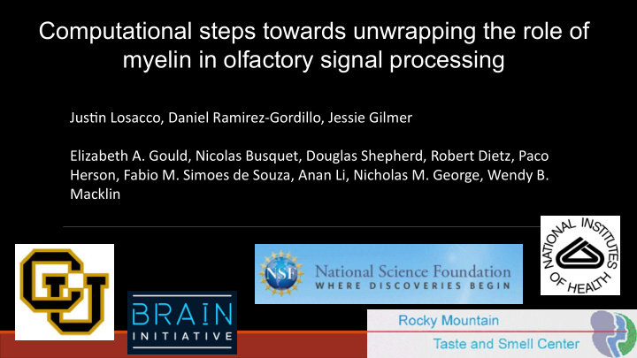 computational steps towards unwrapping the role of myelin
