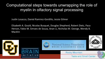 Computational steps towards unwrapping the role of  myelin in olfactory signal processing  Justjn